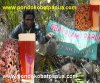 Sarang Semut: sarang semut papua abatasa