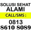 Sarang Semut: solusisehat